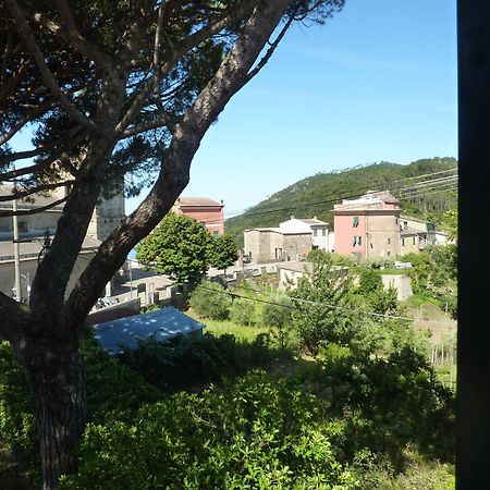 Hotel Silvia Framura - Cinque Terre מראה חיצוני תמונה