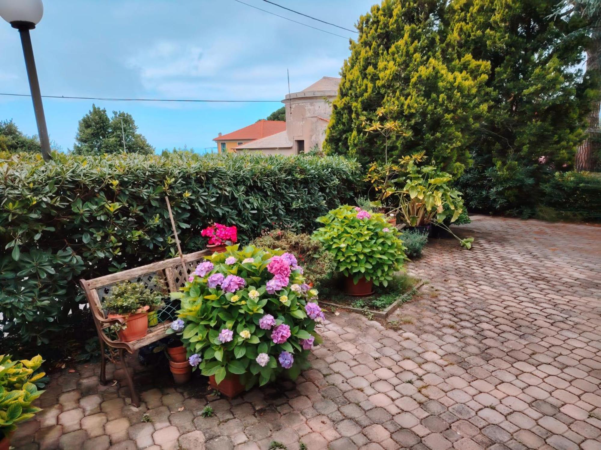 Hotel Silvia Framura - Cinque Terre מראה חיצוני תמונה