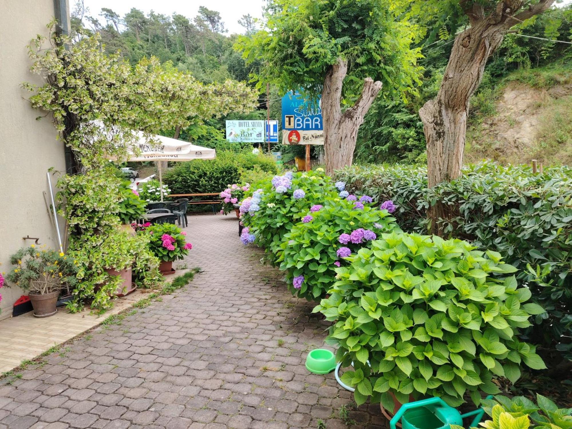 Hotel Silvia Framura - Cinque Terre מראה חיצוני תמונה