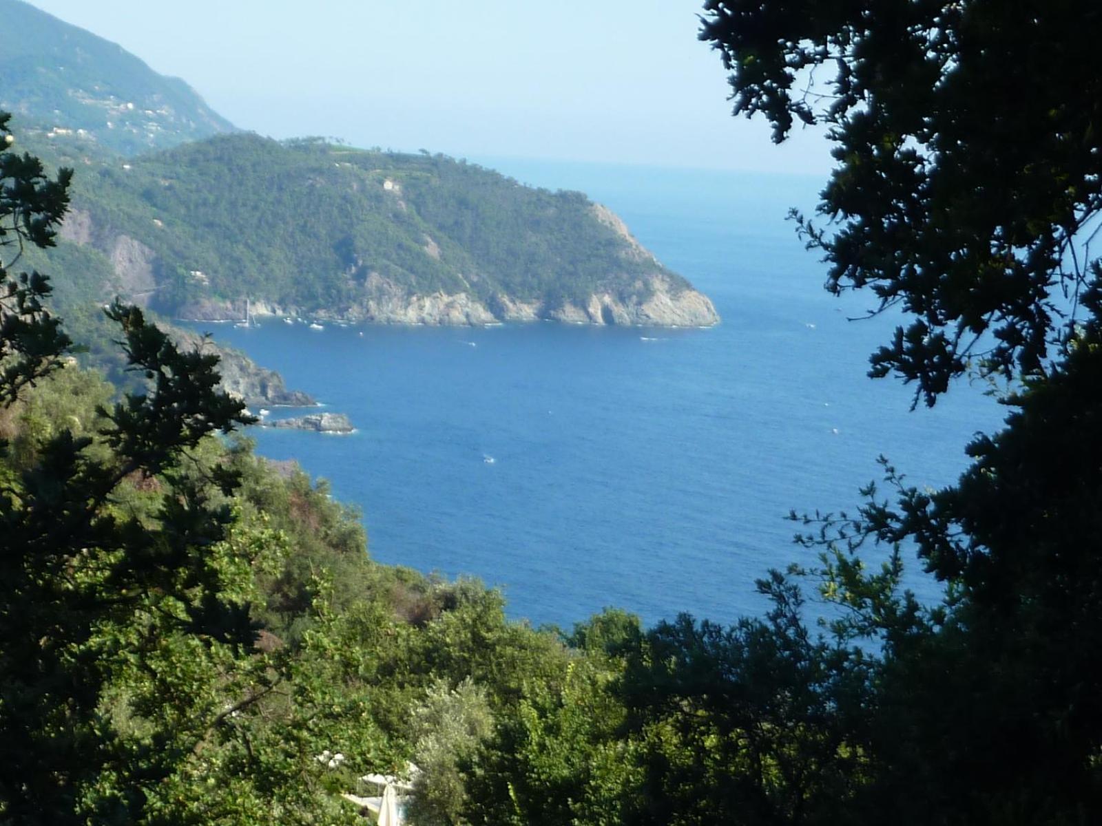 Hotel Silvia Framura - Cinque Terre מראה חיצוני תמונה